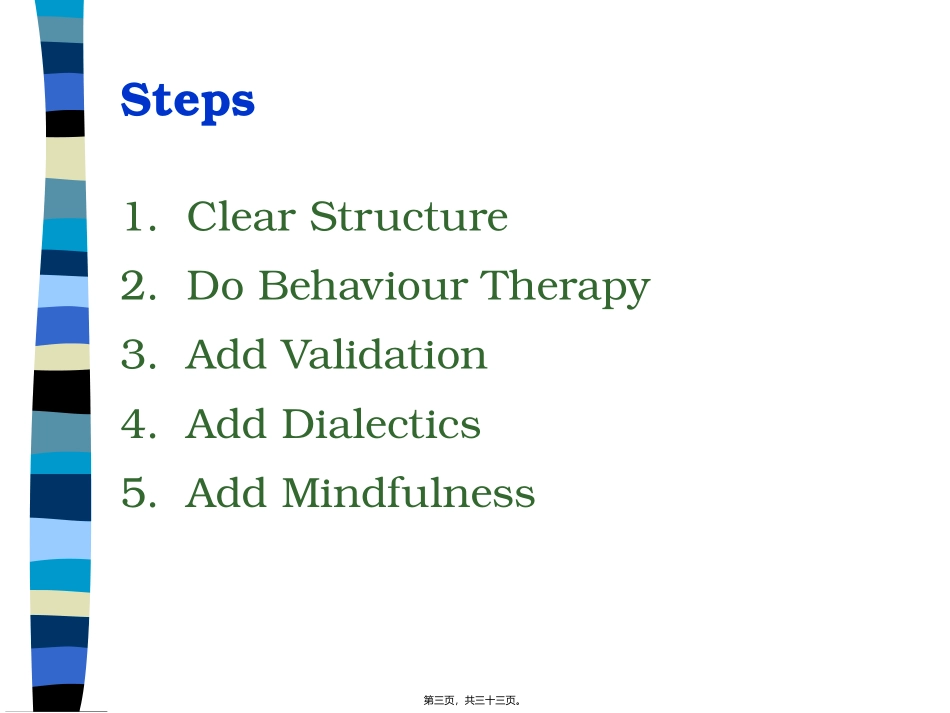 DialecticalBehaviourTherapy：辩证行为疗法_第3页