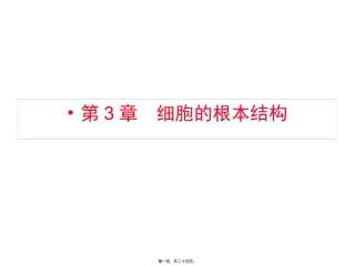 8H3-1细胞膜