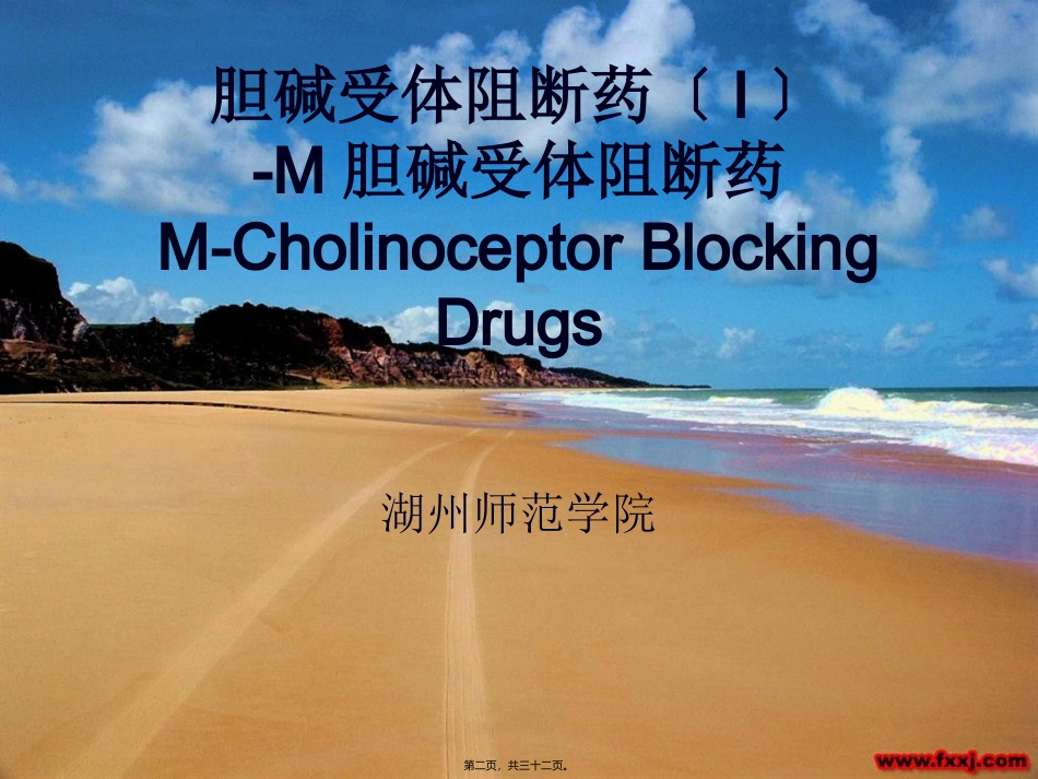 8M胆碱受体阻断药_第2页