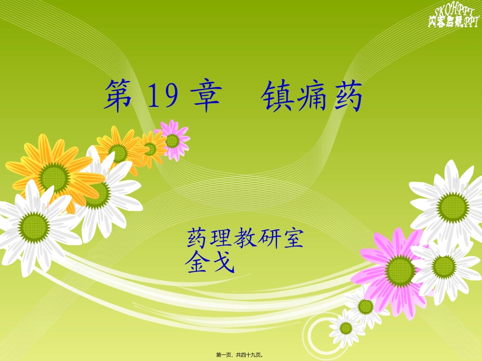 中枢镇痛药解读教学课件_第1页