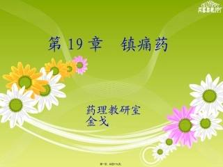 中枢镇痛药解读教学课件