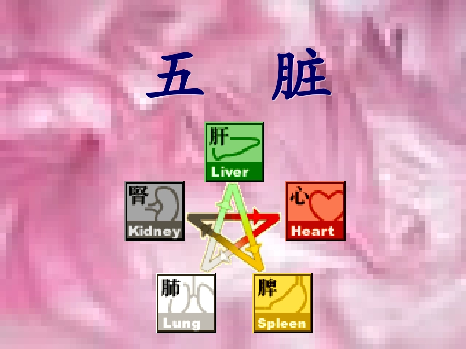 中医脏腑知识讲解课件_第1页