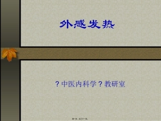 ww外感发热ppt