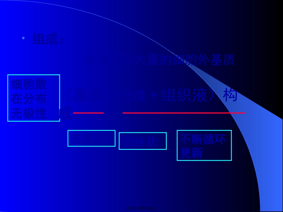 第3章结缔组织xin_第2页