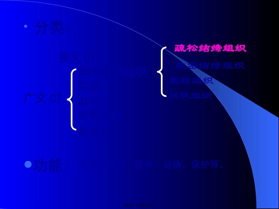 第3章结缔组织xin_第3页