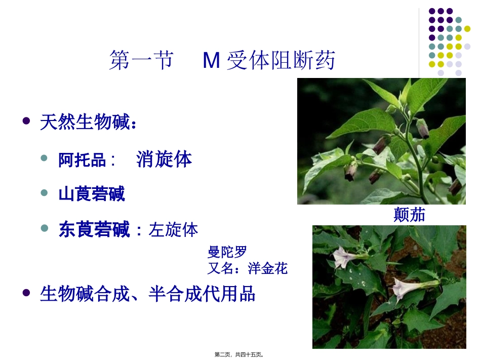 wxr2-2010胆碱受体阻断药_第2页