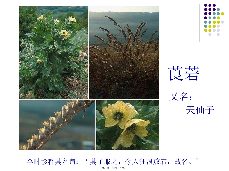wxr2-2010胆碱受体阻断药_第3页