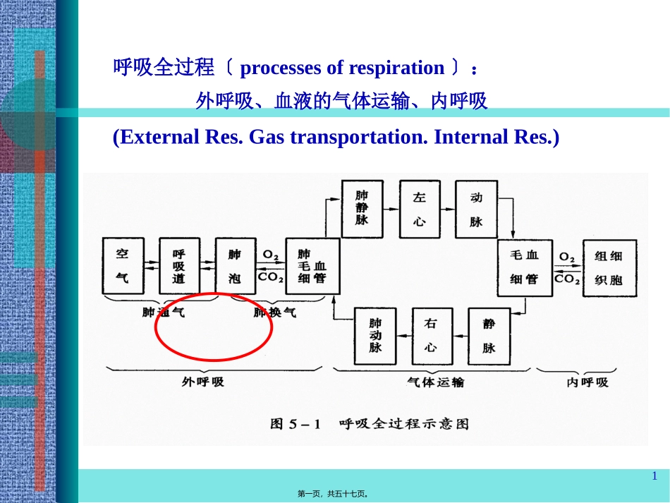dl呼吸功能衰竭_第1页