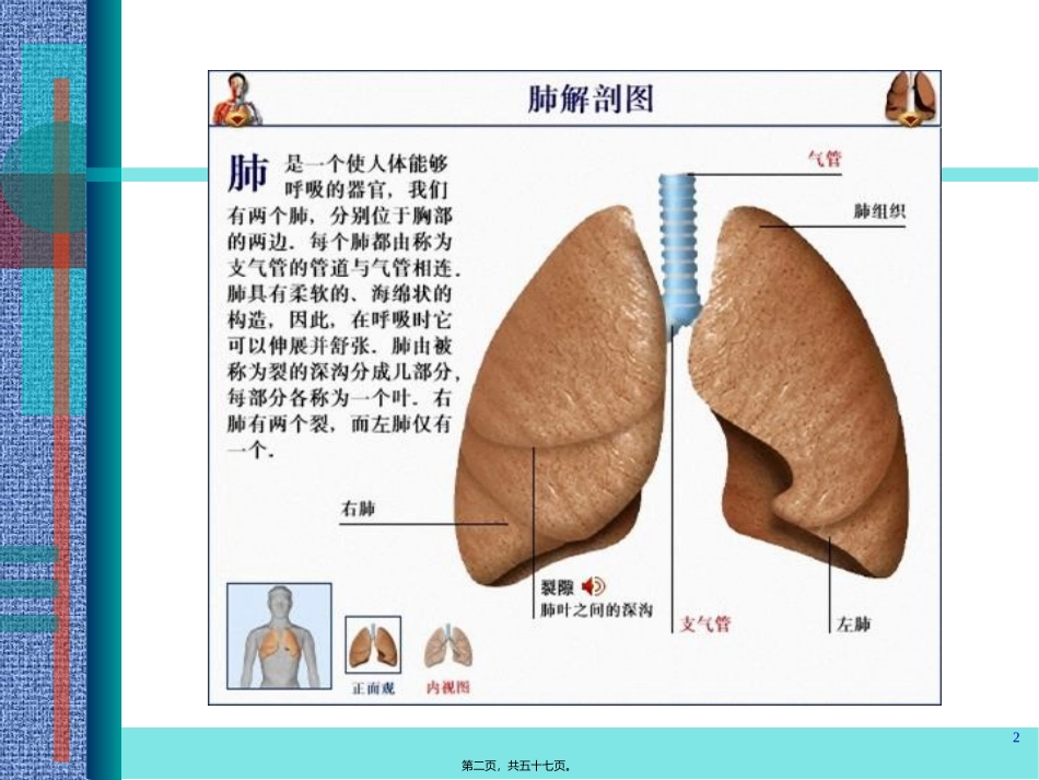 dl呼吸功能衰竭_第2页