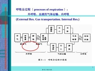 dl呼吸功能衰竭