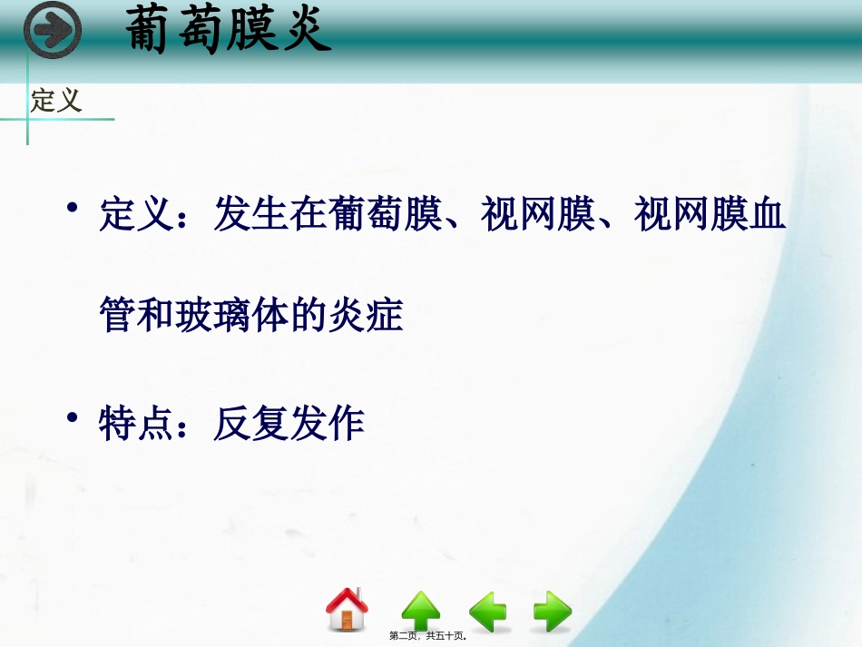 8第八节-葡萄膜病_第2页