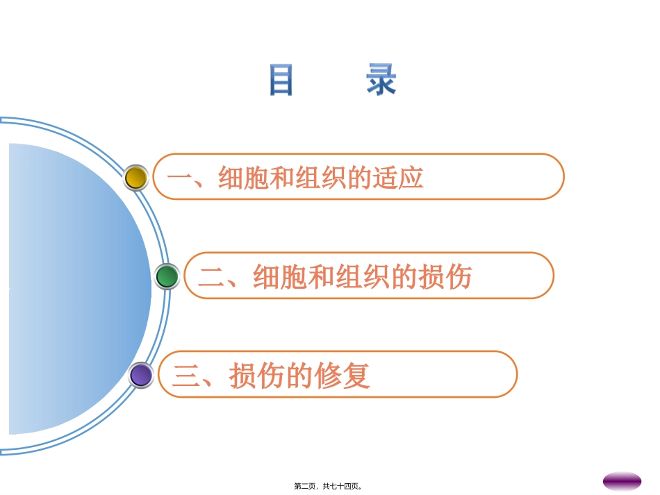 组织的适应、损伤与修复精要 培训课件_第2页