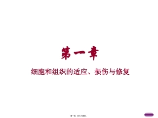 组织的适应、损伤与修复精要 培训课件