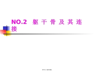 NO.2躯干骨及其连接