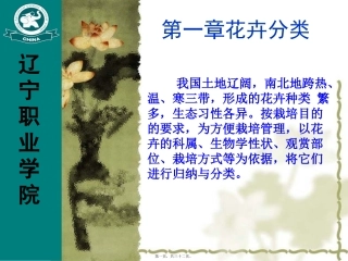 常见花卉识别讲义