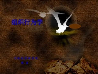 组织行为学导论 教学课件