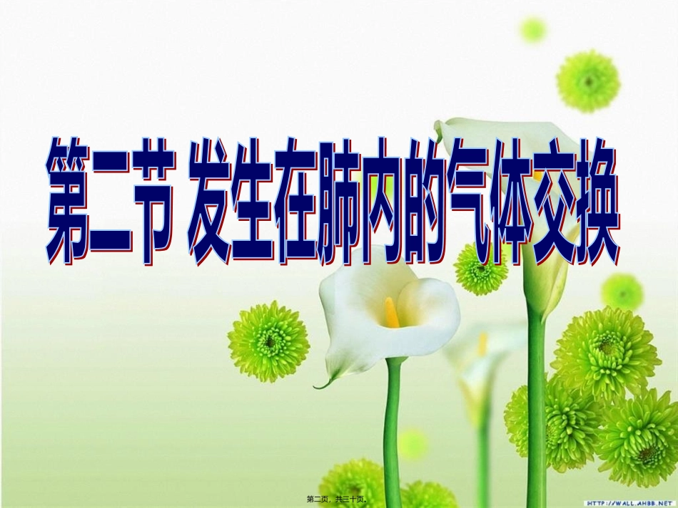 8发生在肺内的气体交换_第2页