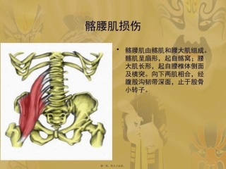 常见臀部软组织损伤