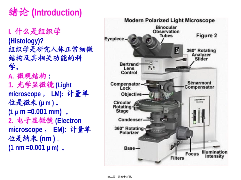 组织学与胚胎学之绪论 教学课件_第2页