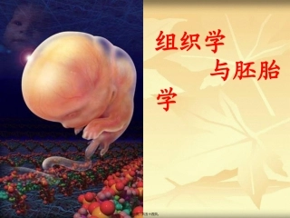 组织学与胚胎学之绪论 教学课件