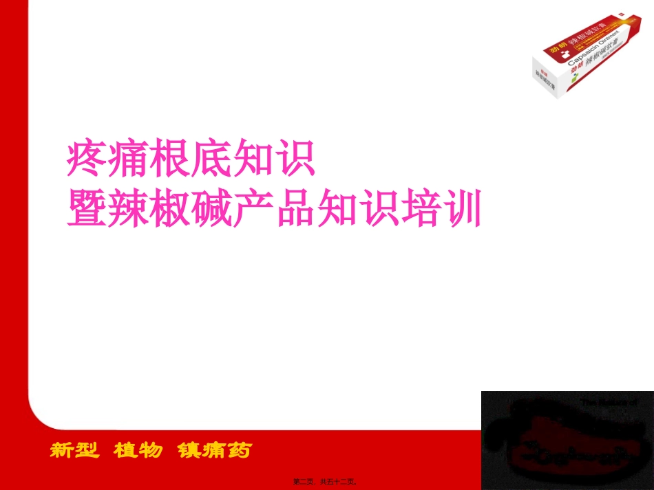 NSAIDs副作用抗炎镇痛作用生理保护功能内毒素-长春普华制药_第2页