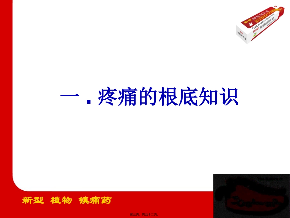 NSAIDs副作用抗炎镇痛作用生理保护功能内毒素-长春普华制药_第3页