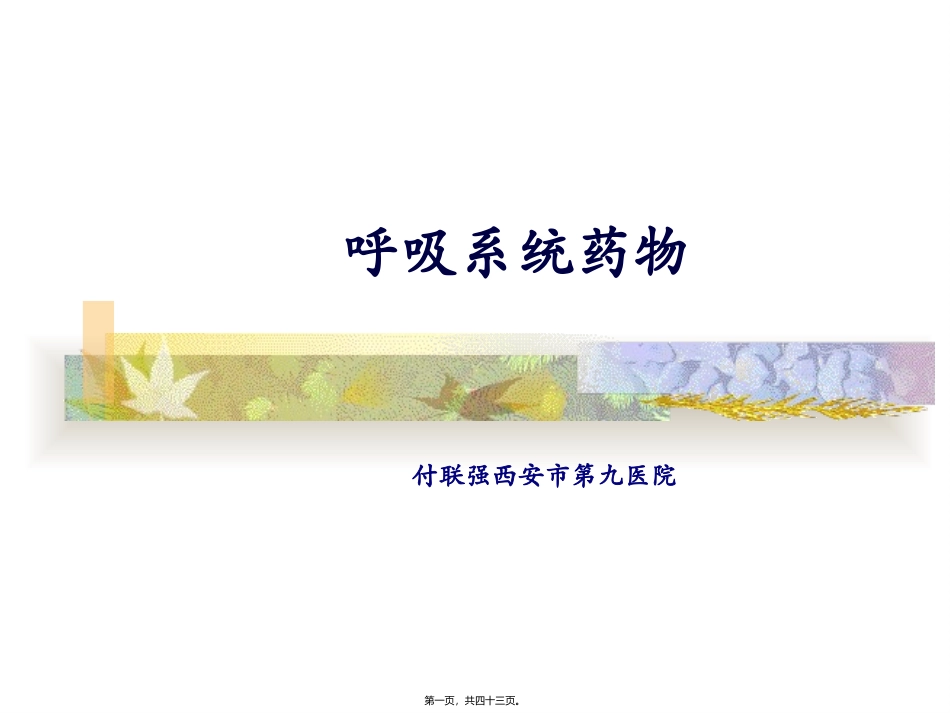 8-呼吸系统用药_第1页