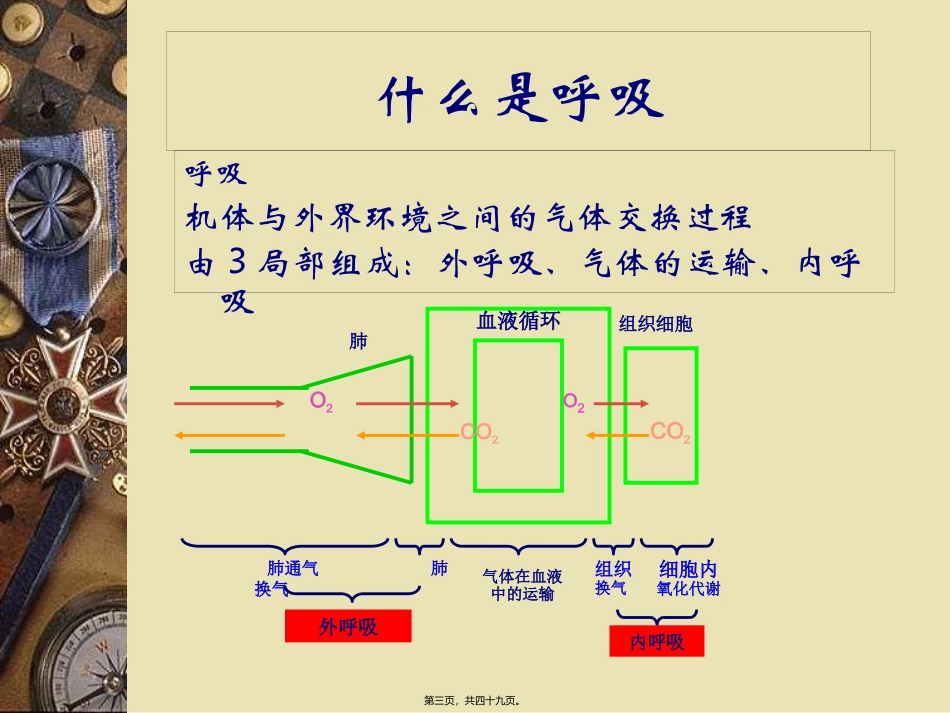 Drager呼吸机的使用!_第3页