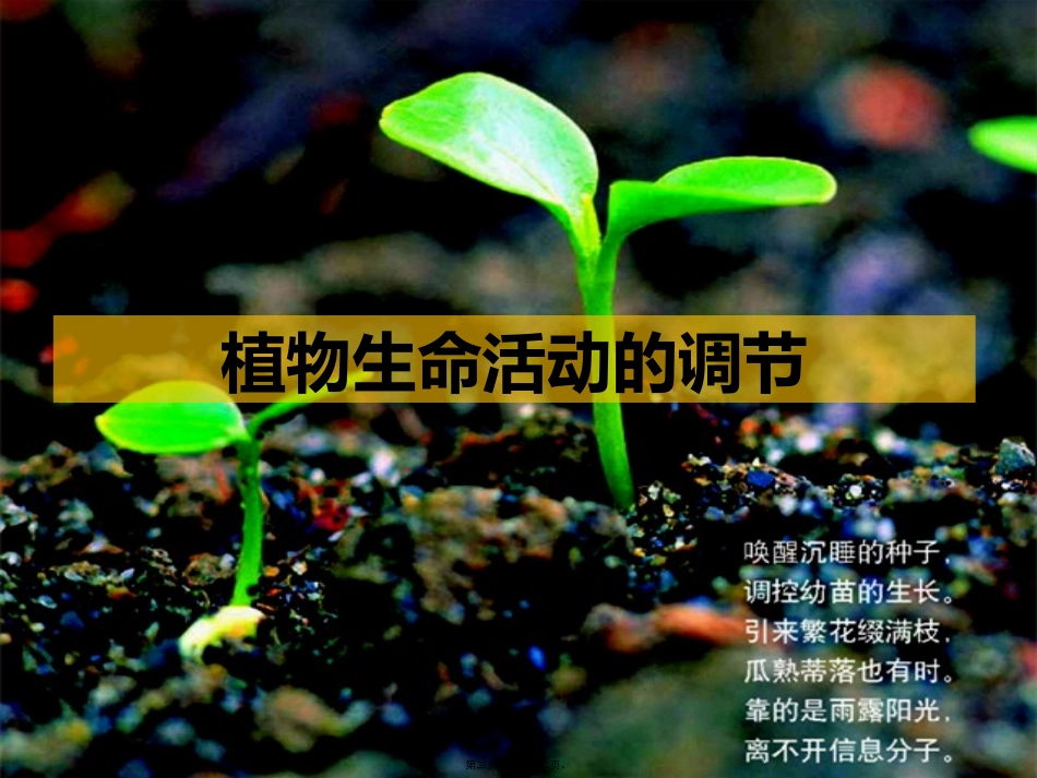 12植物生命活动的调节_第2页