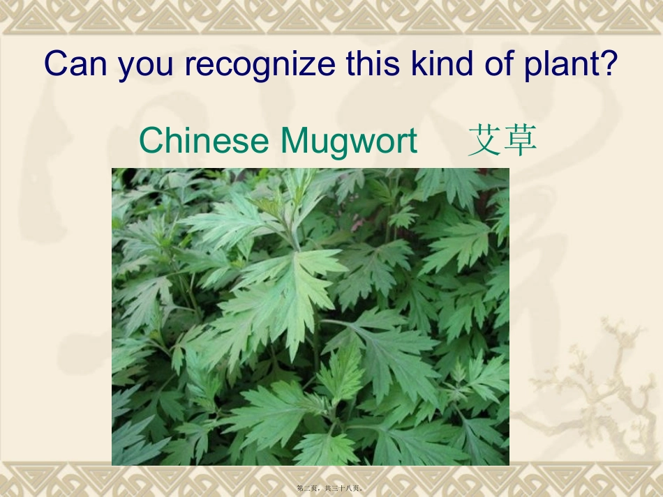 Dragon-Boat-Festival-端午节节日介绍_第2页