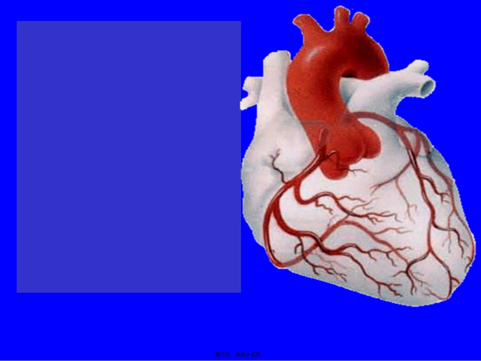 8抗心绞痛药_第3页