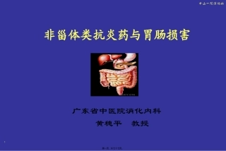 NSAID与胃肠道损伤(09版)