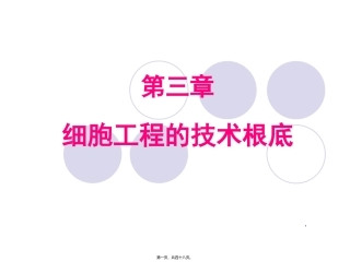 xb三、细胞工程的技术基础