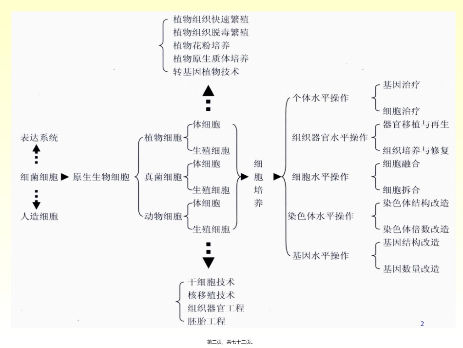 xb四、植物组织与细胞培养_第2页