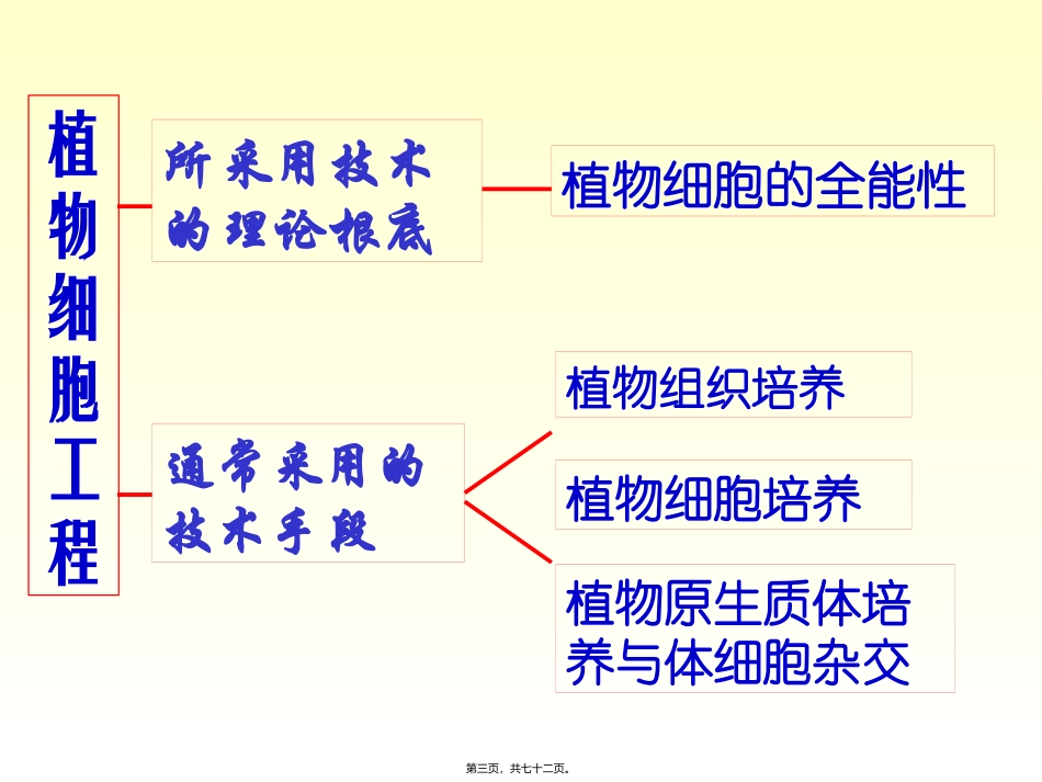 xb四、植物组织与细胞培养_第3页