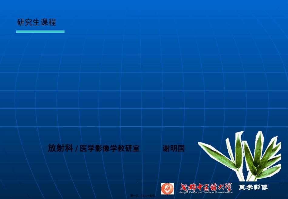 NS检查、正常、基本病变CT与MRI_第1页