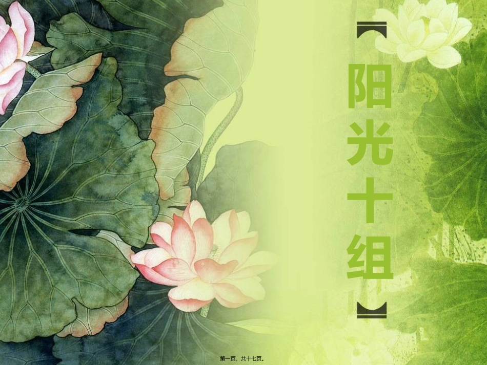 车险附加险讲析._第1页