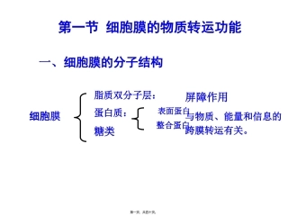 D细胞的基本功能