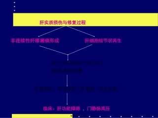 8消化2009-5-8肝硬化