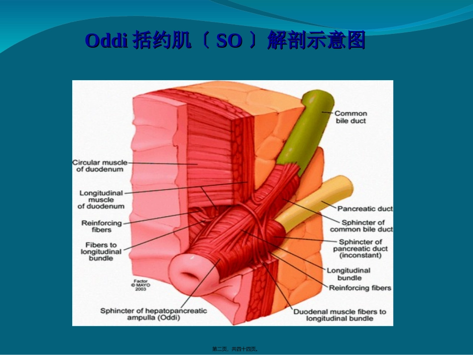 Oddi括约肌运动功能障碍_第2页