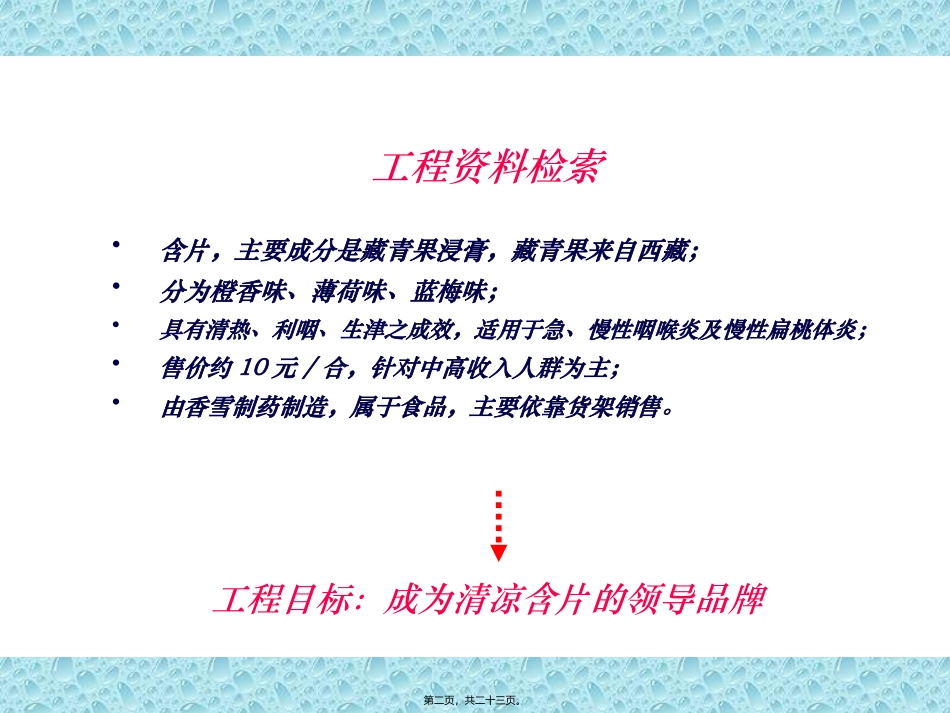XX制药藏青果上市推广案_第2页