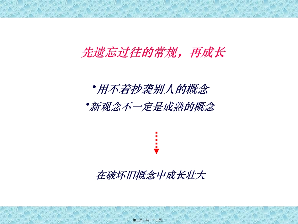 XX制药藏青果上市推广案_第3页