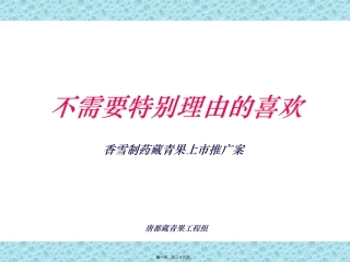 XX制药藏青果上市推广案