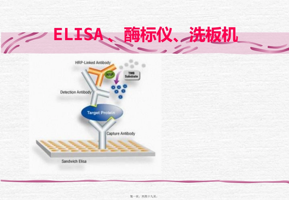 ELISA讲义_第1页