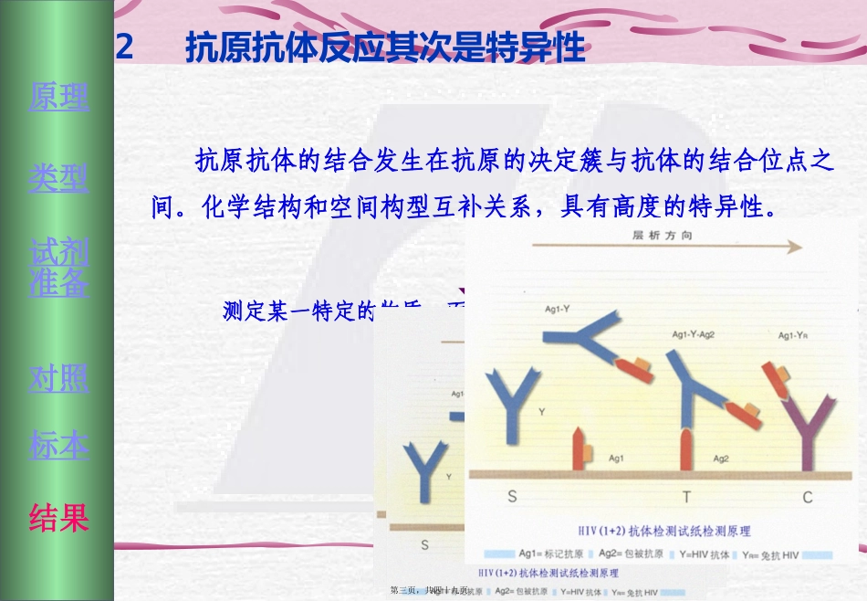 ELISA讲义_第3页
