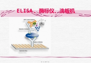 ELISA讲义