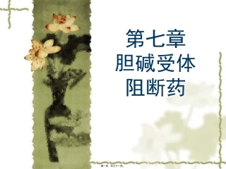y7.胆碱受体阻断药3.31