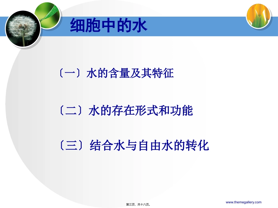 yml细胞中无机物_第3页