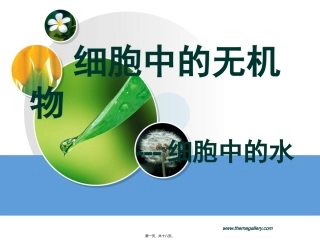 yml细胞中无机物