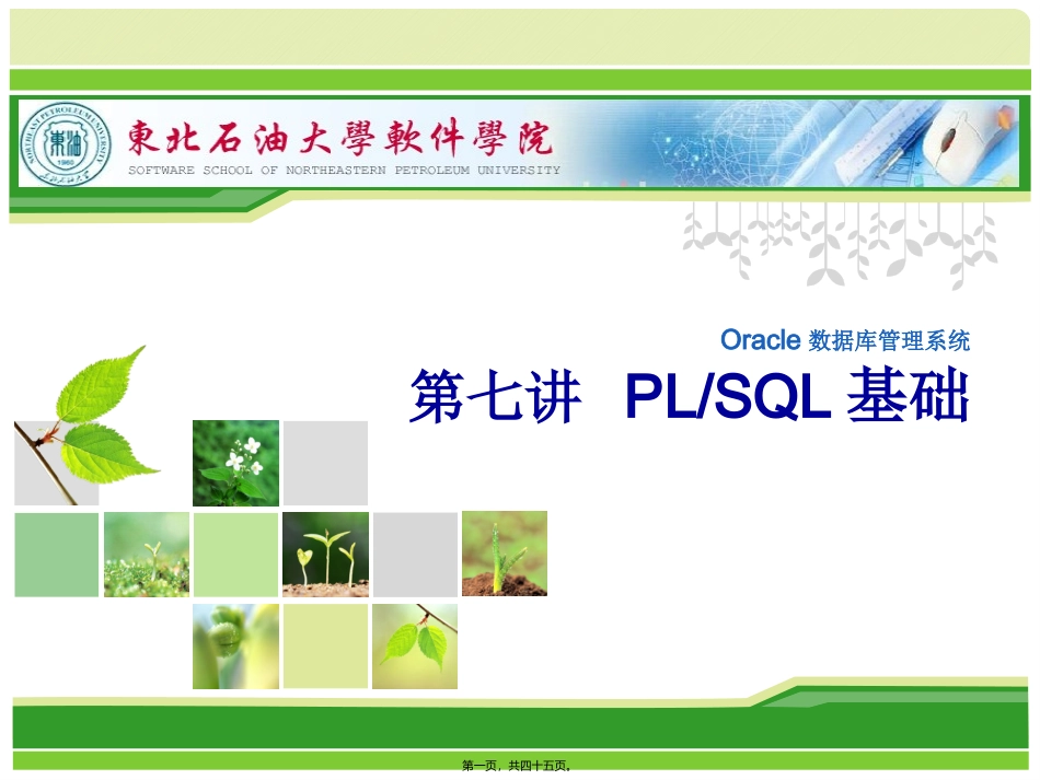 oracle第七讲plsql剖析_第1页